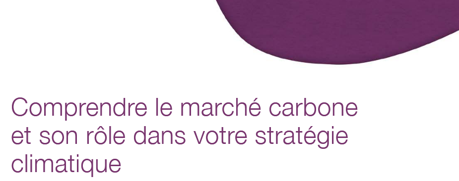 Valoriser la capture et l’utilisation du carbone : un guide de référence pour comprendre la compensation carbone