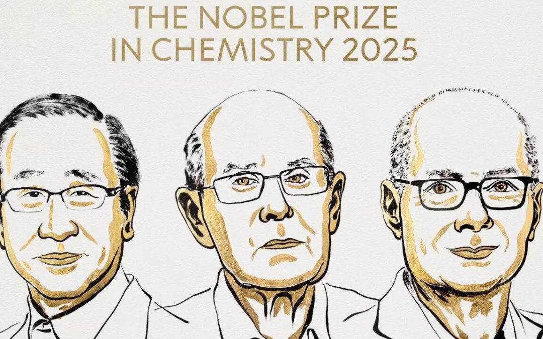 Le Prix Nobel de Chimie 2025 consacre les MOF : une révolution pour la capture du CO₂ et l’innovation chez WasteOlas