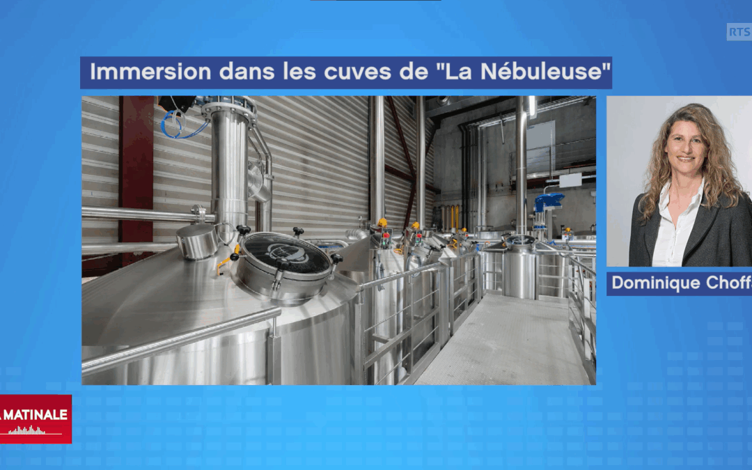 La capture de CO₂ s’installe dans les brasseries suisses : La Nébuleuse à Renens montre la voie